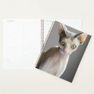 Cutest Baby Animals Sphinx Cat Planner