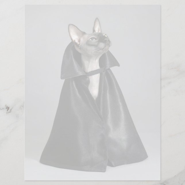 Cutest Baby Animals | Sphynx Hairless Cat (Front)