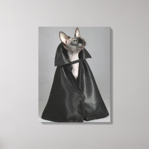 Cutest Baby Animals Sphynx Hairless Cat Canvas Print