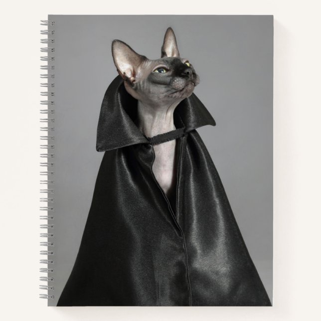 Cutest Baby Animals | Sphynx Hairless Cat Notebook (Front)