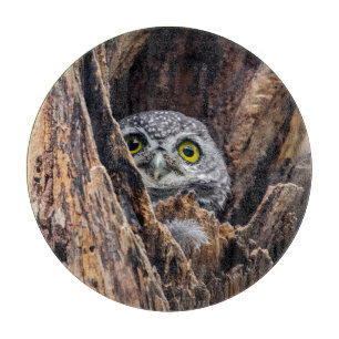 Cutest Baby Animals Spotted Owlet Cutting Board