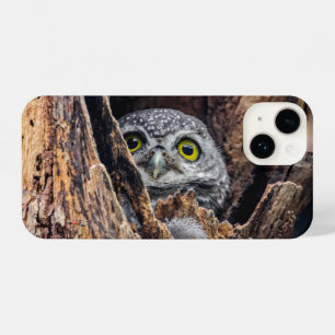 Cutest Baby Animals   Spotted Owlet iPhone 14 Case