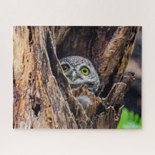 Cutest Baby Animals Spotted Owlet Jigsaw Puzzle