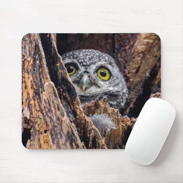 Cutest Baby Animals | Spotted Owlet Mouse Pad (With Mouse)