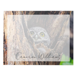 Cutest Baby Animals Spotted Owlet Notepad