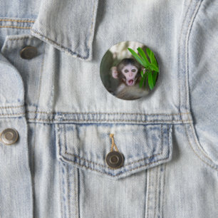 Cutest Baby Animals Surprised Snow Monkey 6 Cm Round Badge