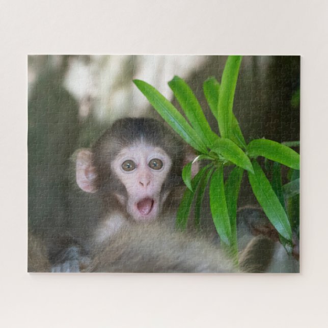 Cutest Baby Animals | Surprised Snow Monkey Jigsaw Puzzle (Horizontal)