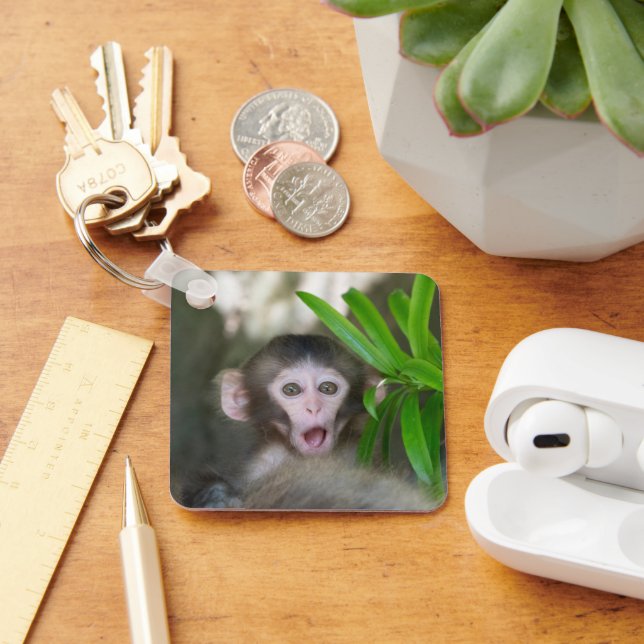Cutest Baby Animals | Surprised Snow Monkey Key Ring (Desk)