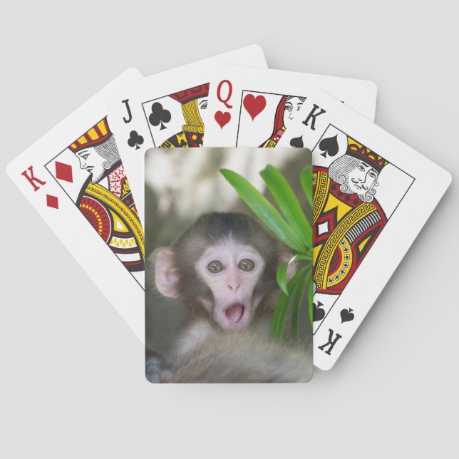 Cutest Baby Animals | Surprised Snow Monkey Playing Cards (Back)