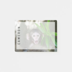 Cutest Baby Animals Surprised Snow Monkey Post-it Notes