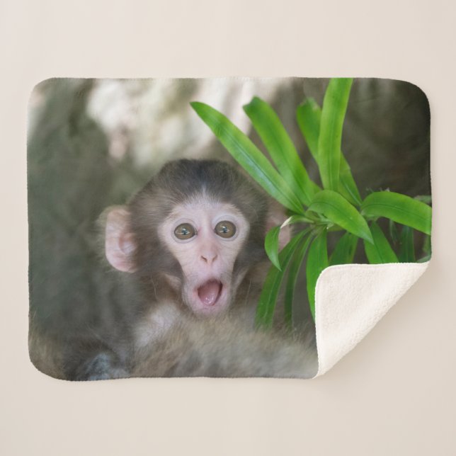Cutest Baby Animals | Surprised Snow Monkey Sherpa Blanket (Front (Horizontal))
