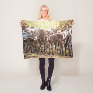 Cutest Baby Animals Svalbard Reindeer Fleece Blanket