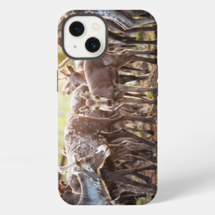 Cutest Baby Animals   Svalbard Reindeer iPhone 13 Case