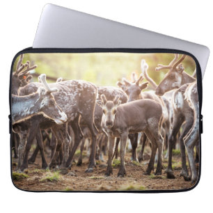 Cutest Baby Animals   Svalbard Reindeer Laptop Sleeve