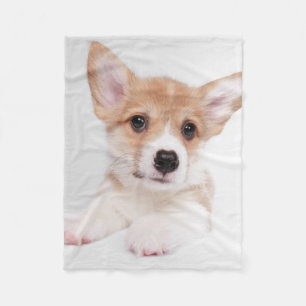 Cutest Baby Animals Sweet Baby Corgi Fleece Blanket
