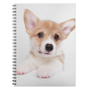Cutest Baby Animals   Sweet Baby Corgi Notebook