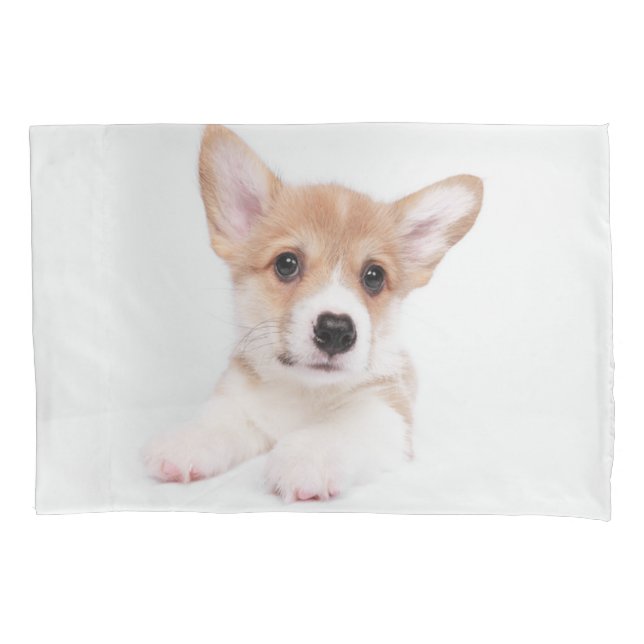 Cutest Baby Animals | Sweet Baby Corgi Pillowcase (Front)