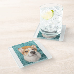 Cutest Baby Animals Sweet Corgi Puppy Face Glass Coaster