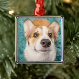Cutest Baby Animals   Sweet Corgi Puppy Face Metal Ornament