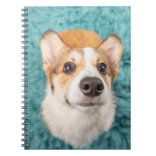 Cutest Baby Animals Sweet Corgi Puppy Face Notebook