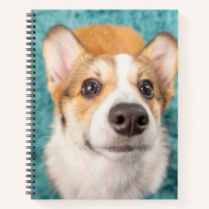 Cutest Baby Animals Sweet Corgi Puppy Face Notebook