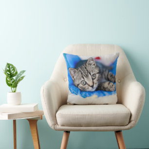 Cutest Baby Animals Tabby Kitten in Play Tunnel Cushion