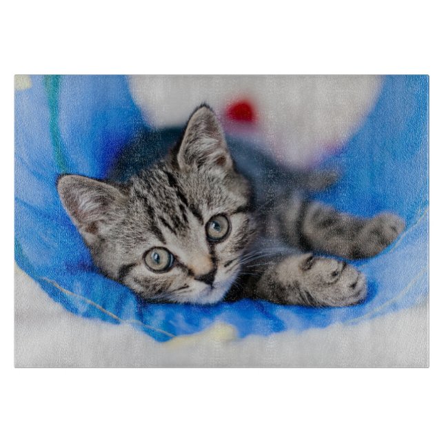 Cutest Baby Animals | Tabby Kitten in Play Tunnel Cutting Board (Front)