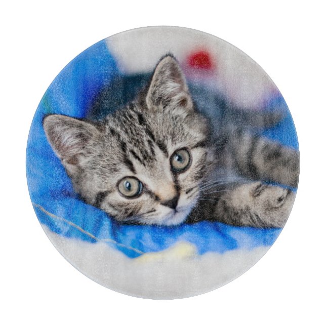 Cutest Baby Animals | Tabby Kitten in Play Tunnel Cutting Board (Front)