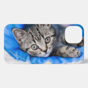Cutest Baby Animals   Tabby Kitten in Play Tunnel iPhone 13 Case