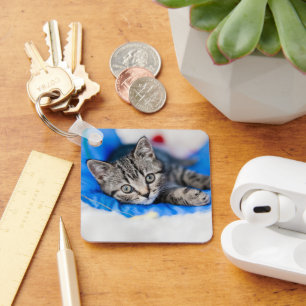 Cutest Baby Animals Tabby Kitten in Play Tunnel Key Ring