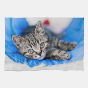 Cutest Baby Animals Tabby Kitten in Play Tunnel Tea Towel