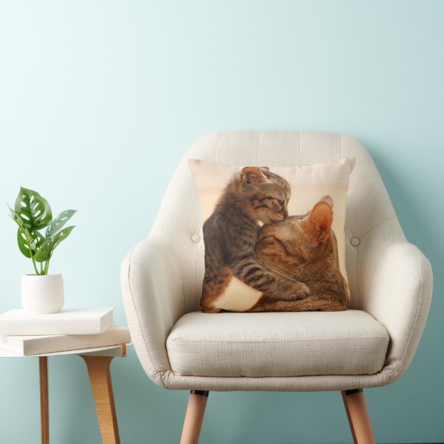 Cutest Baby Animals | Tabby Kitten Kiss Cushion (Chair)