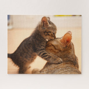 Cutest Baby Animals   Tabby Kitten Kiss Jigsaw Puzzle