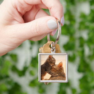 Cutest Baby Animals Tabby Kitten Kiss Key Ring