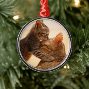 Cutest Baby Animals   Tabby Kitten Kiss Metal Ornament