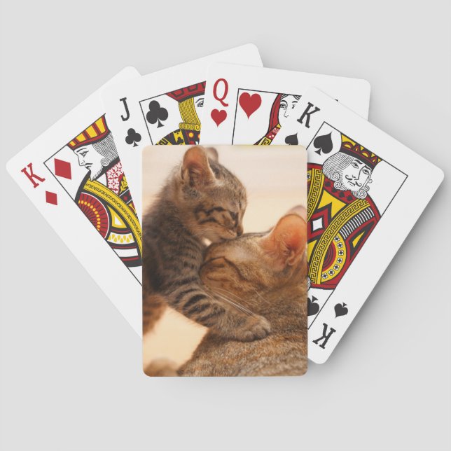Cutest Baby Animals | Tabby Kitten Kiss Playing Cards (Back)