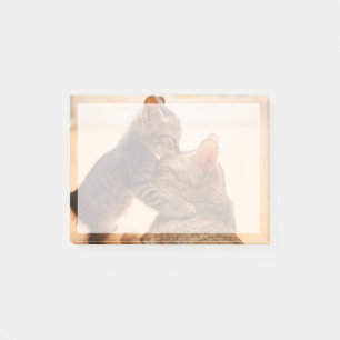 Cutest Baby Animals   Tabby Kitten Kiss Post-it Notes
