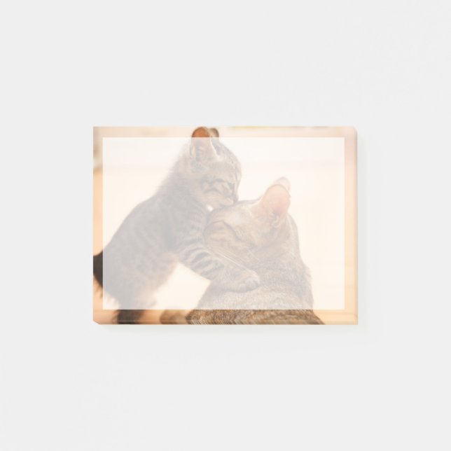 Cutest Baby Animals | Tabby Kitten Kiss Post-it Notes (Front)