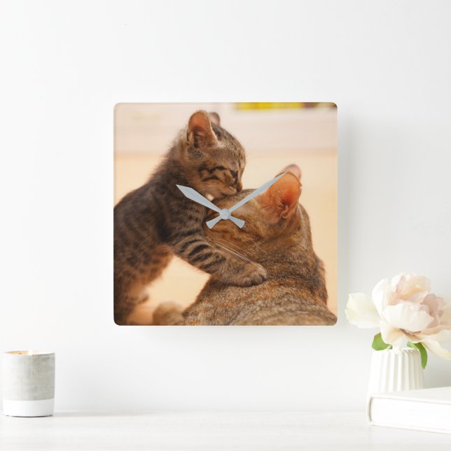 Cutest Baby Animals | Tabby Kitten Kiss Square Wall Clock (Home)