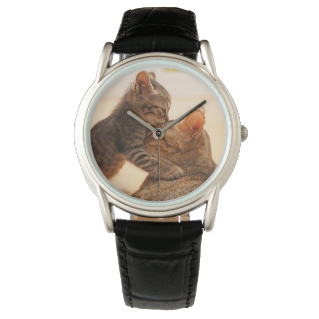 Cutest Baby Animals | Tabby Kitten Kiss Watch (Front)