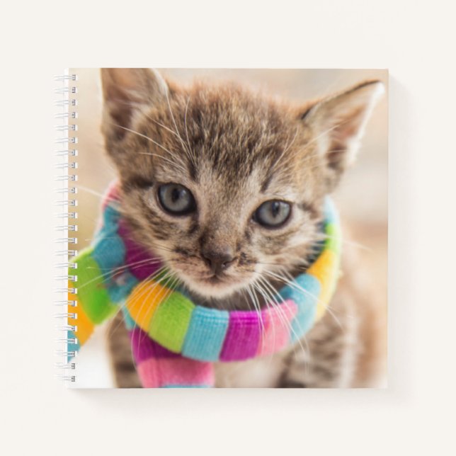 Cutest Baby Animals | Tabby Kitten Rainbow Scarf Notebook (Front)