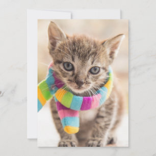 Cutest Baby Animals Tabby Kitten Rainbow Scarf Thank You Card