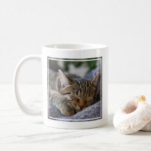 Cutest Baby Animals Tabby Kitten Sleeping Coffee Mug