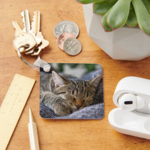 Cutest Baby Animals   Tabby Kitten Sleeping Key Ring