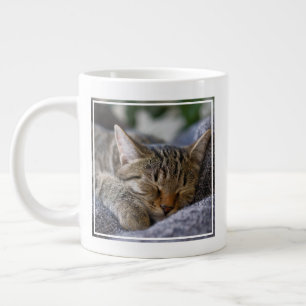 Cutest Baby Animals   Tabby Kitten Sleeping Large Coffee Mug