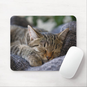 Cutest Baby Animals Tabby Kitten Sleeping Mouse Pad