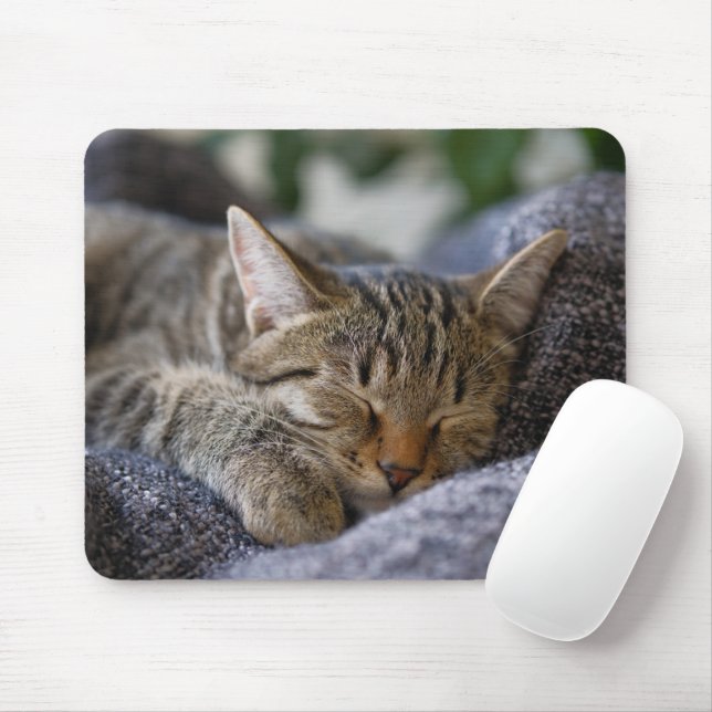 Cutest Baby Animals | Tabby Kitten Sleeping Mouse Pad (With Mouse)