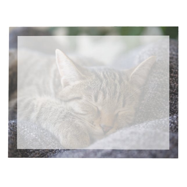 Cutest Baby Animals | Tabby Kitten Sleeping Notepad (Front)