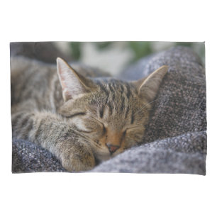 Cutest Baby Animals   Tabby Kitten Sleeping Pillowcase