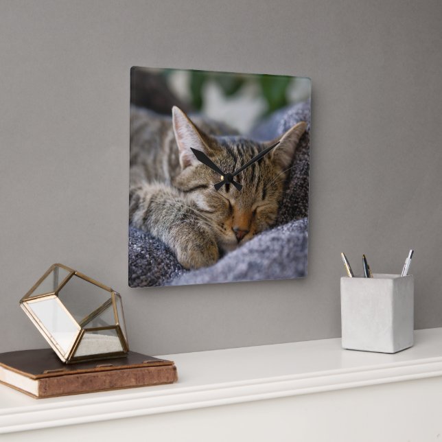 Cutest Baby Animals | Tabby Kitten Sleeping Square Wall Clock (Office)